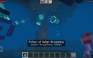 The water breathing potion allows players to breathe underwater with depletion in the oxygen bar (Image via Minecraft))